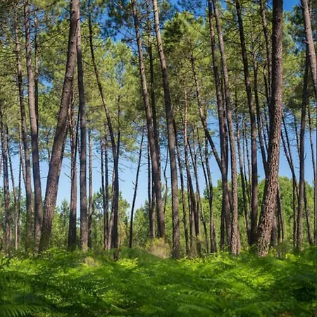 Ferienhaus Penates Oceanes *