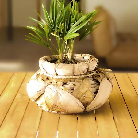 Penates Oceanes Vensac