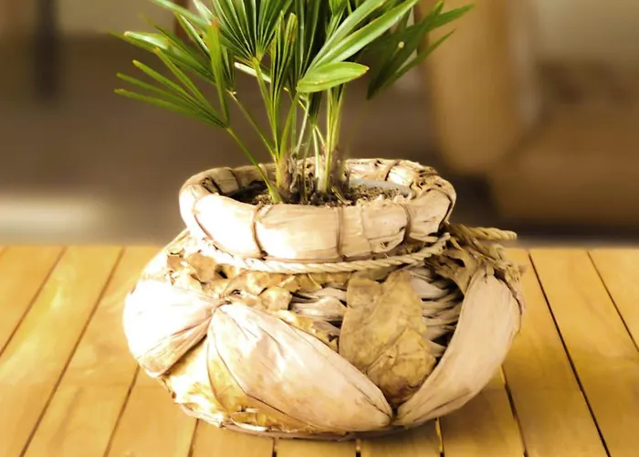 Penates Oceanes Vensac